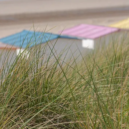 De Tulp - Romantic By Interhome * De Haan