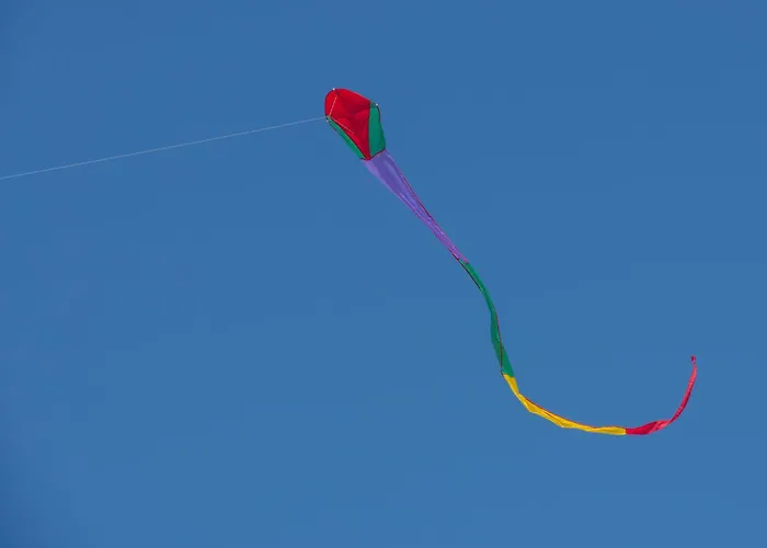 De Tulp - Romantic By Interhome De Haan