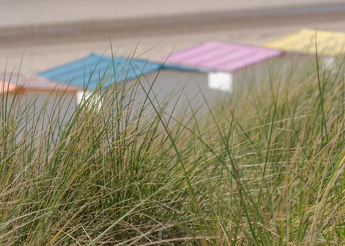 De Tulp - Romantic By Interhome * De Haan